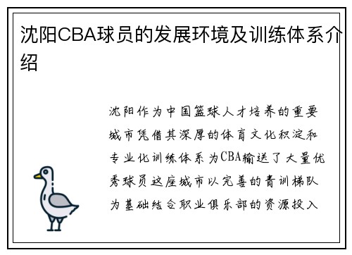 沈阳CBA球员的发展环境及训练体系介绍