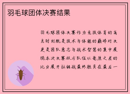 羽毛球团体决赛结果